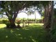 602 Crystalbrook Road, Proserpine QLD 4800