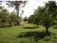 401 Midge Point Road, Bloomsbury QLD 4799
