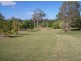 401 Midge Point Road, Bloomsbury QLD 4799