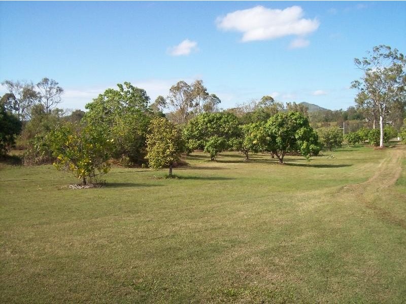 401 Midge Point Road, Bloomsbury QLD 4799