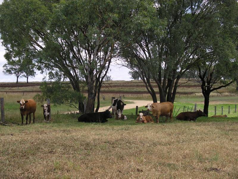 Clifton QLD 4361