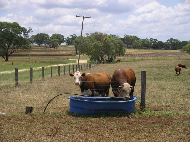 Clifton QLD 4361