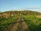 Glenvale QLD 4350