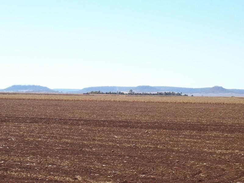 Clifton QLD 4361