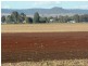 Clifton QLD 4361