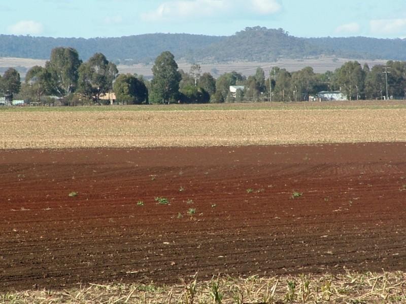 Clifton QLD 4361