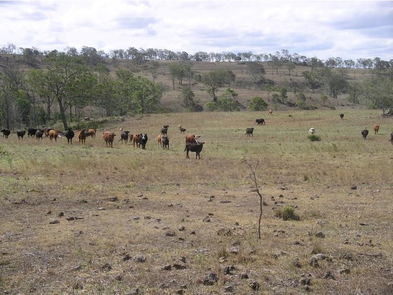 Thornville QLD 4352