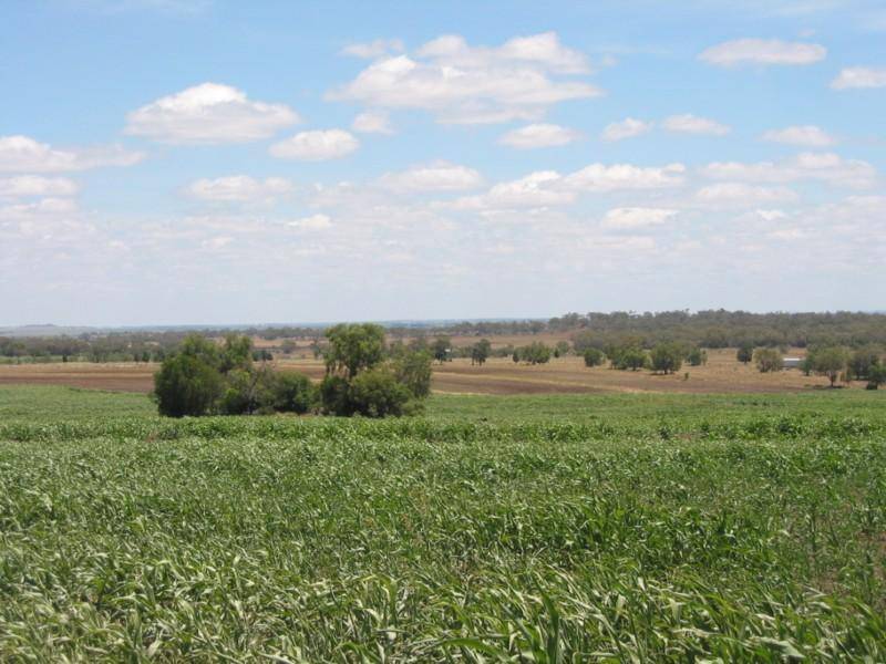 Mount Tyson QLD 4356