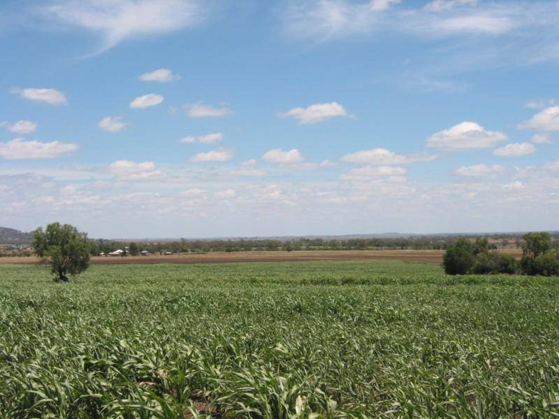 Mount Tyson QLD 4356