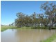 Clifton QLD 4361