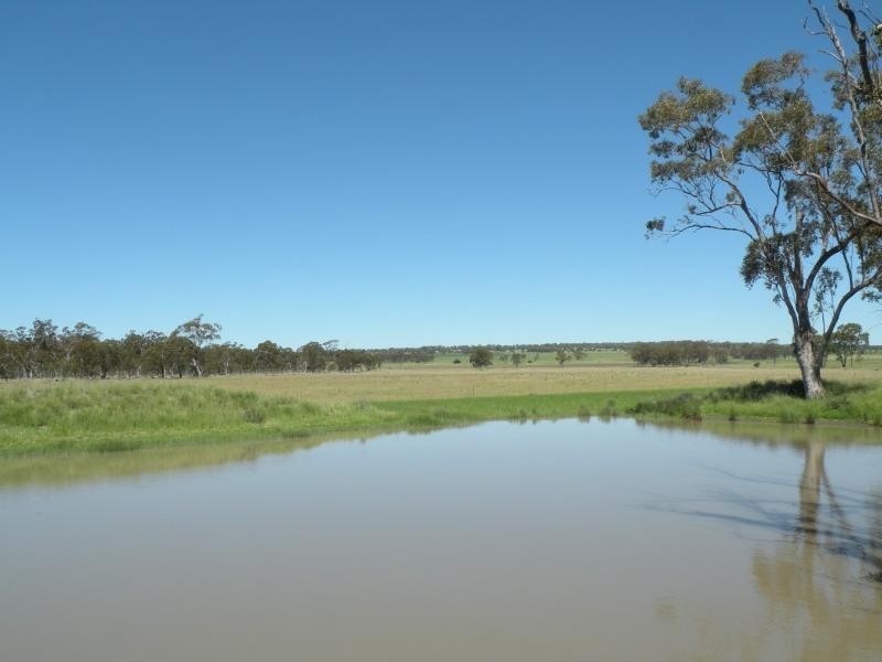 Clifton QLD 4361