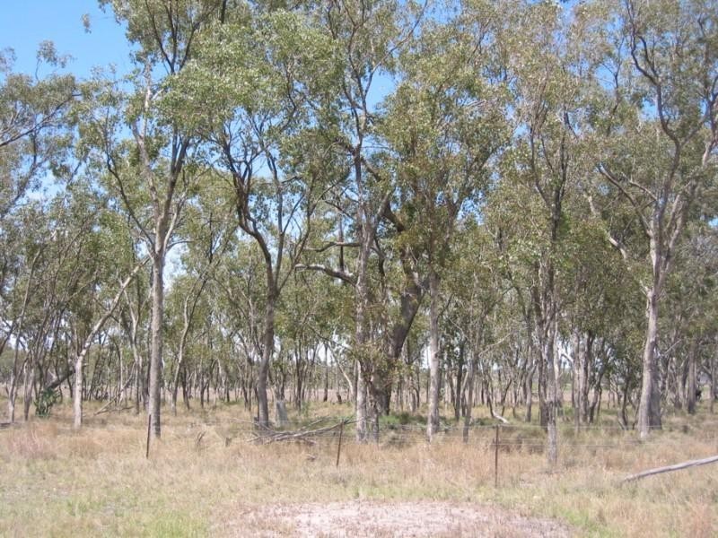 Clifton QLD 4361