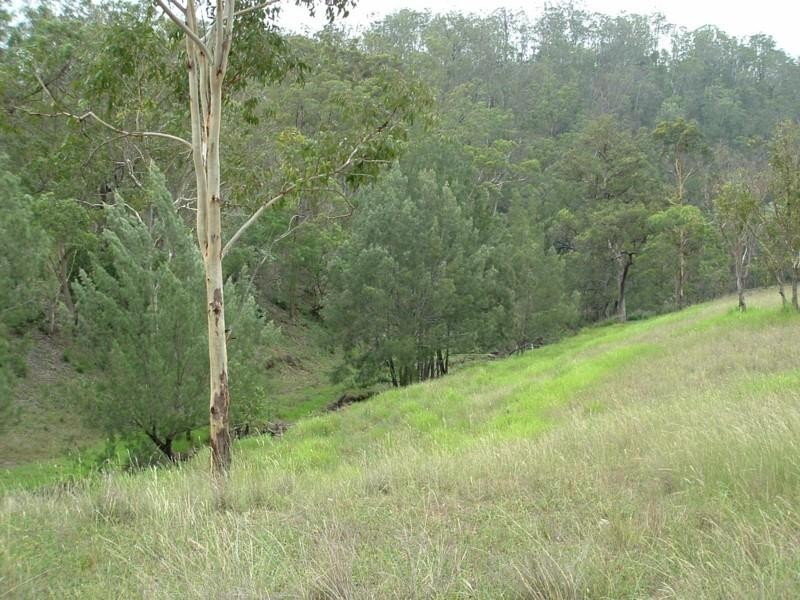 53 Fitch Road, Crows Nest QLD 4355