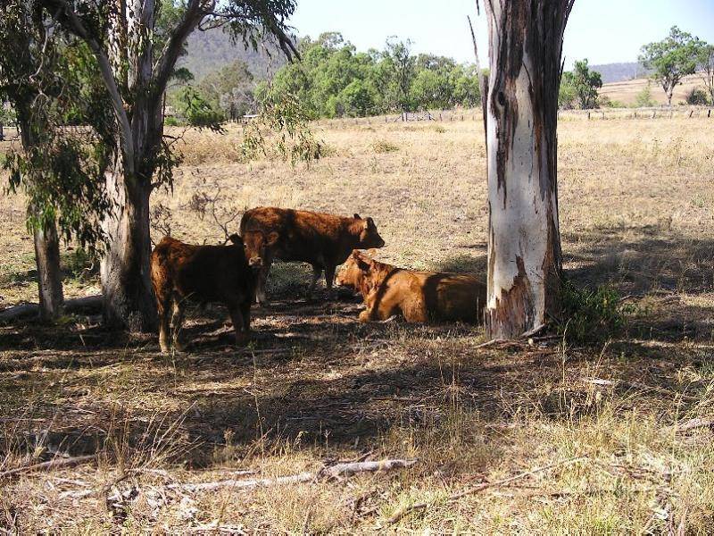 Hirstglen QLD 4359