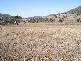 Hirstglen QLD 4359