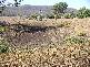Hirstglen QLD 4359