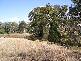Hirstglen QLD 4359