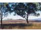 Felton QLD 4358