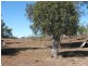 Irongate QLD 4356