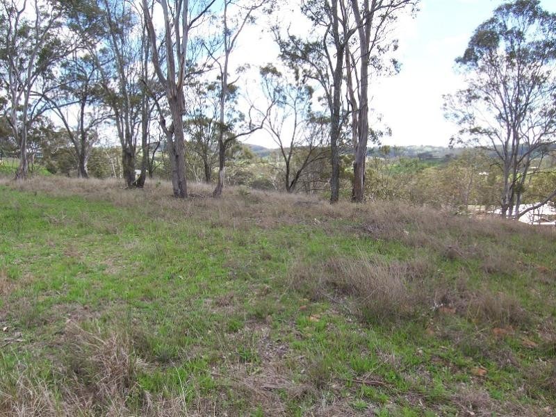 10 CLAUDIA COURT, Top Camp QLD 4350