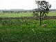 Yalangur QLD 4352