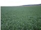 Aubigny QLD 4401