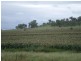 Pilton QLD 4361
