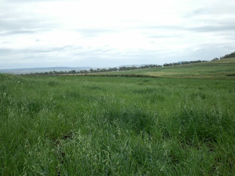 Pilton QLD 4361