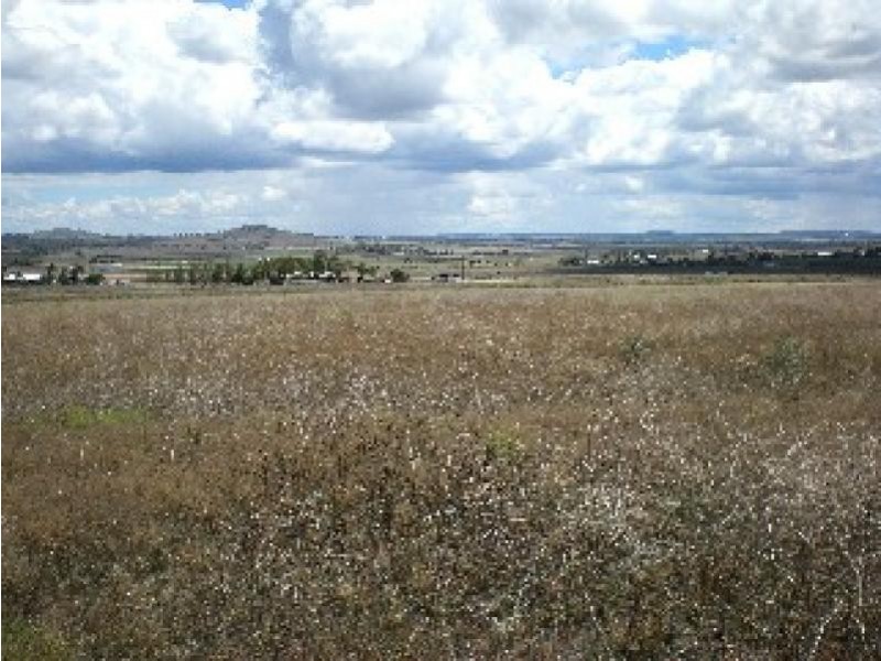 Lot 12 Drayton – Wellcamp Road, Glenvale QLD 4350