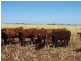1443 JONDARYAN- NUNGIL RD, Brymaroo QLD 4403