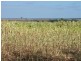 1443 JONDARYAN- NUNGIL RD, Brymaroo QLD 4403