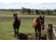 Toowoomba QLD 4350