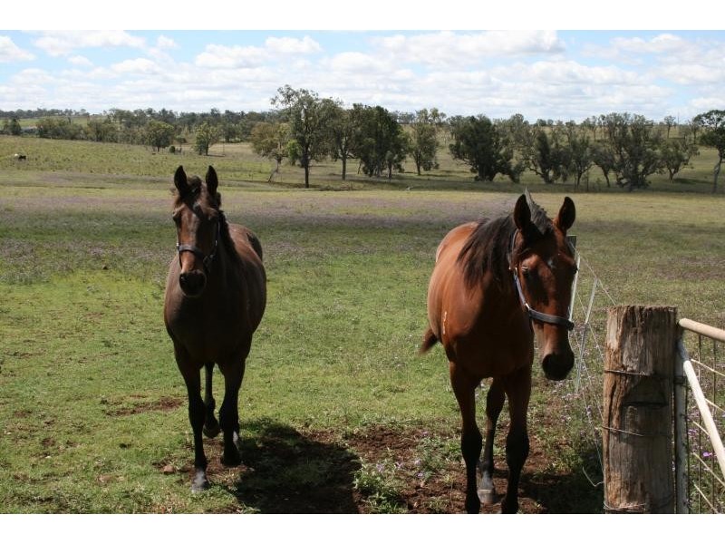 Toowoomba QLD 4350