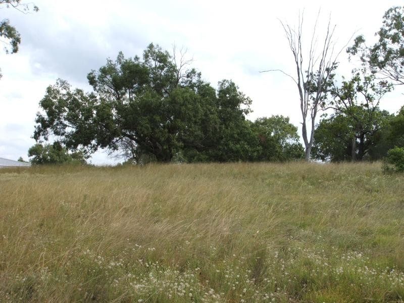 79 Brookvale Park Road, Oakey QLD 4401