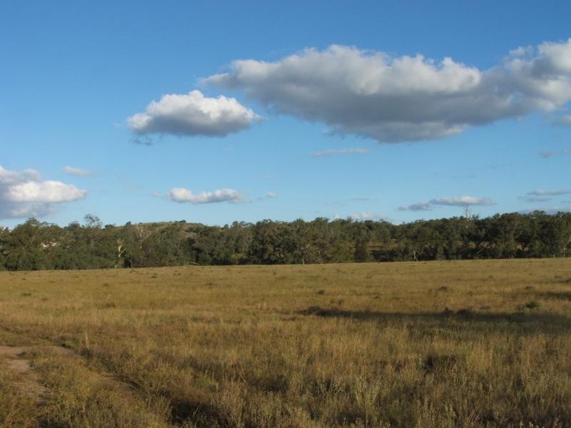 PLAINBY DOUGLAS ROAD, Goombungee QLD 4354