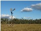 PLAINBY DOUGLAS ROAD, Goombungee QLD 4354
