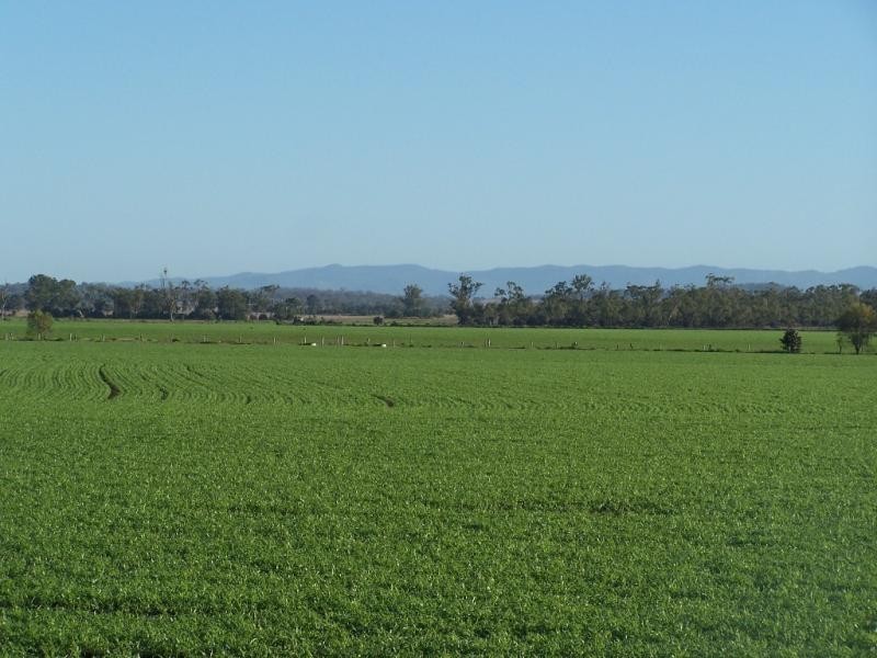 25 Mirtschin’s Road, Jondaryan QLD 4403