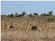 3596 PECHEY MACLAGAN ROAD, Brymaroo QLD 4403