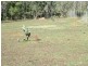 258 Glenvale Road, Glenvale QLD 4350