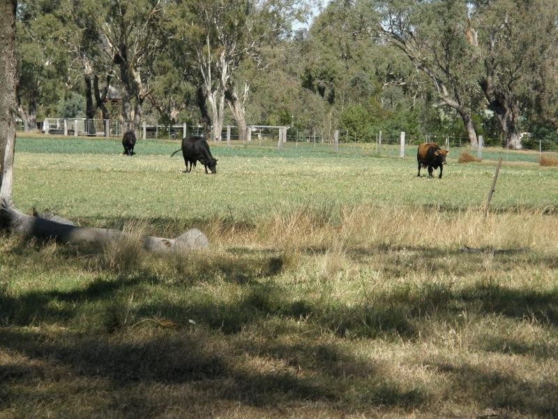 BIDDESTON SOUTHBROOK ROAD, Biddeston QLD 4401