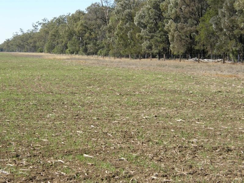 Toowoomba QLD 4350