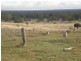 969 Karara Road, Millmerran QLD 4357
