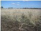 Felton QLD 4358