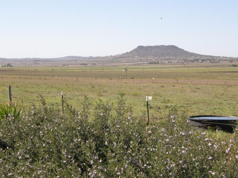 96 KINGS SIDING ROAD, KINGSTHORPE, Toowoomba QLD 4350