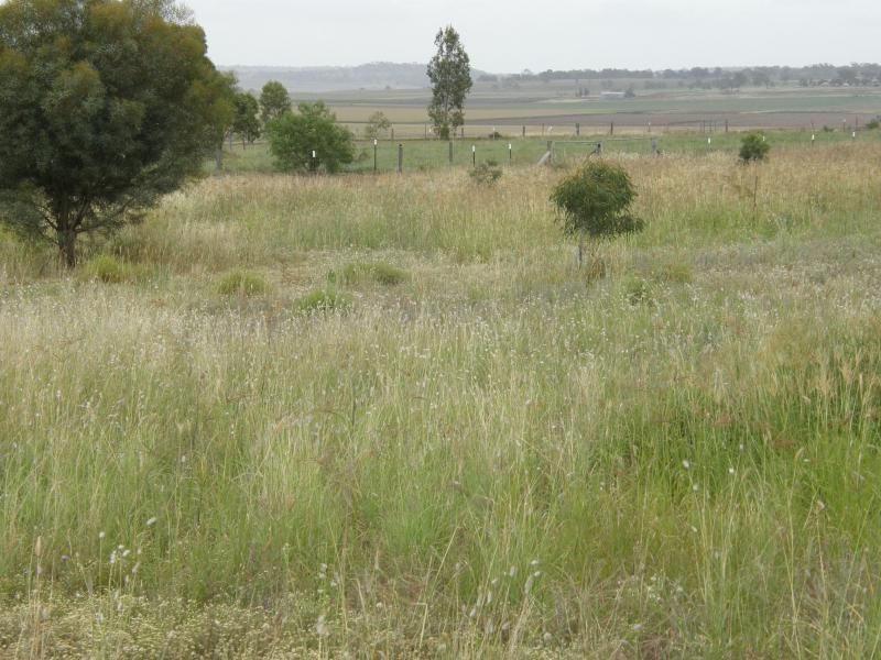 96 KINGS SIDING ROAD, KINGSTHORPE, Toowoomba QLD 4350