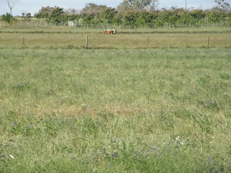 96 KINGS SIDING ROAD, KINGSTHORPE, Toowoomba QLD 4350