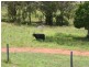 Glenaven QLD 4355