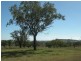 Southbrook QLD 4363