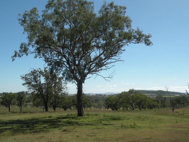 Southbrook QLD 4363