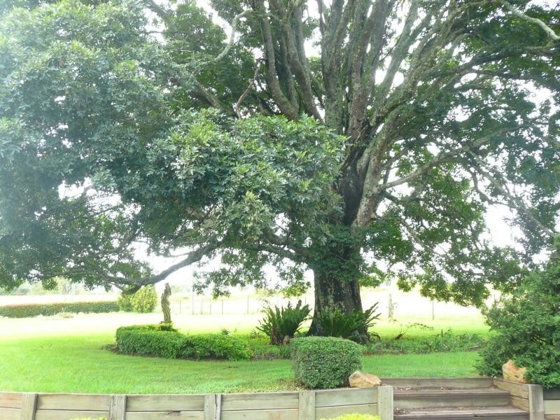 773 Hi Winds Road BLUE MOUNTAIN HEIGHTS, Toowoomba QLD 4350